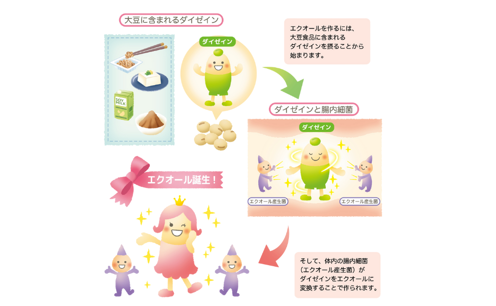 エクオール生産能力チェック エクオールを作る能力を検査/郵送尿検査